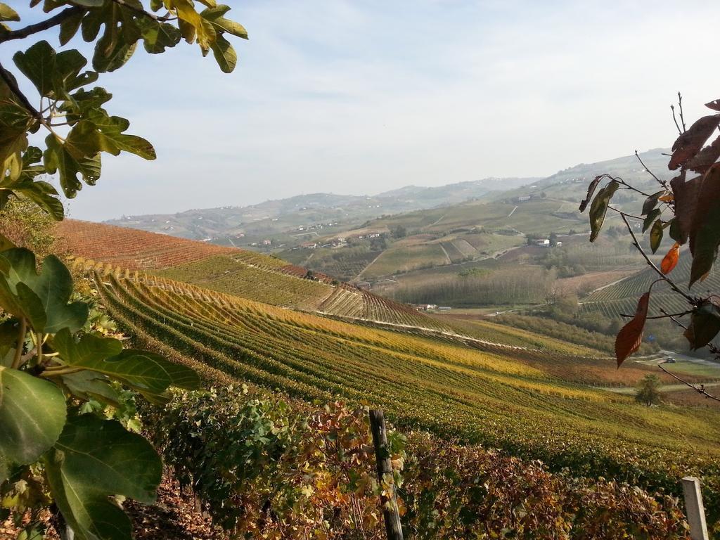 Villa Barbero Alba Langhe Mango Exterior photo